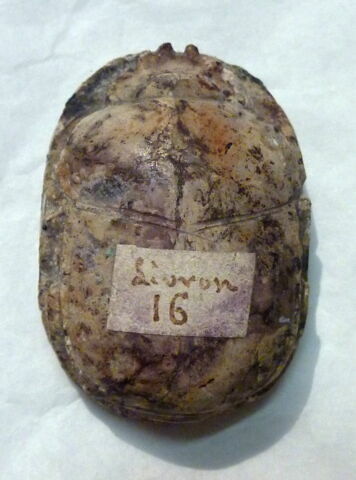 scarabée de cœur, image 2/2