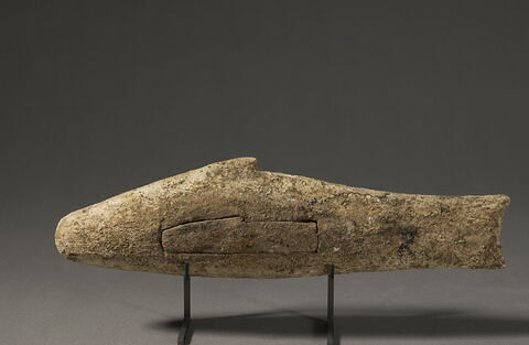 sarcophage de poisson ; momie de poisson, image 1/1