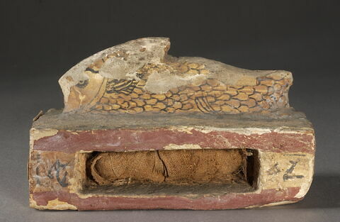 sarcophage de poisson, image 1/2