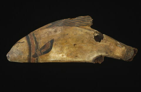 sarcophage de poisson ; momie de poisson, image 4/5