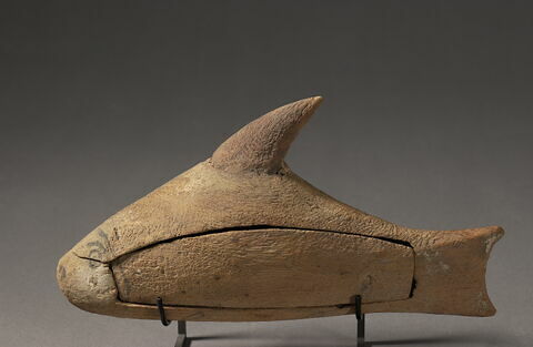 sarcophage de poisson ; cercueil, image 1/2