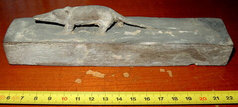 sarcophage de musaraigne ; momie d'animal, image 3/4