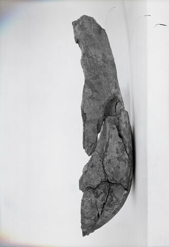 luth, image 6/6