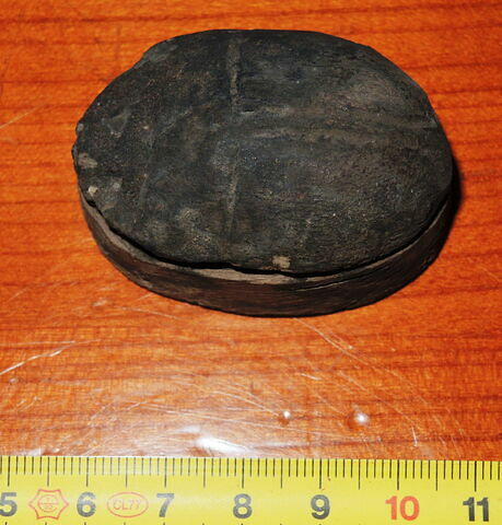 cercueil de scarabée ; cercueil, image 2/2