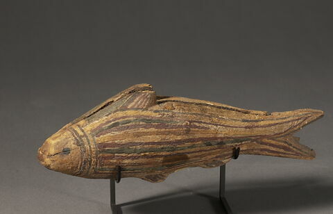 sarcophage de poisson, image 1/3