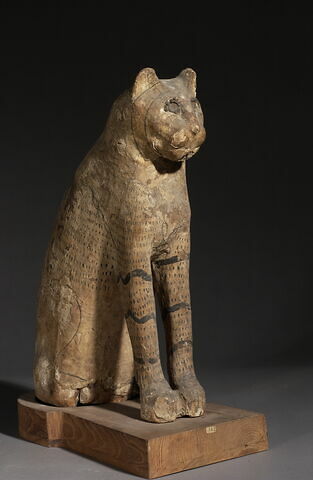 sarcophage de chat ; momie de chat, image 1/1
