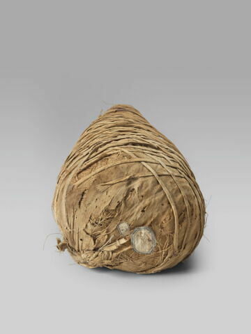 momie d'ibis, image 5/6