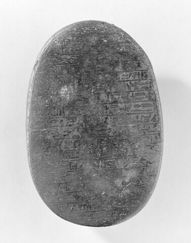scarabée de cœur, image 6/6