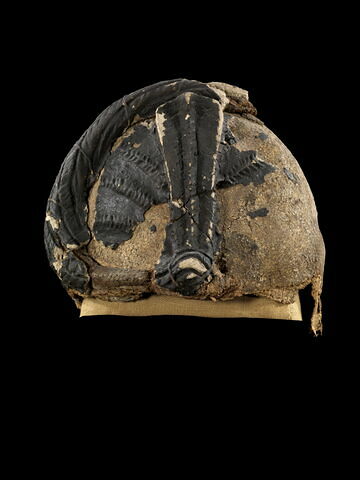 masque de momie, image 2/6