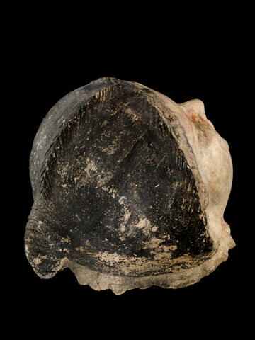 masque de momie, image 4/4