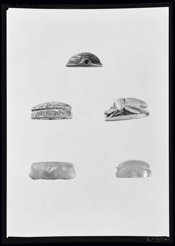 perle cauroïde à cordelette et butées, image 5/6