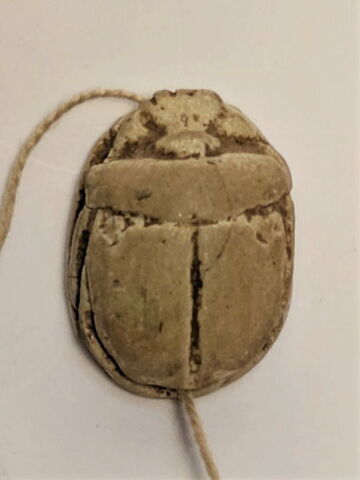 scarabée, image 2/6
