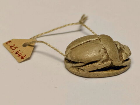scarabée, image 3/6