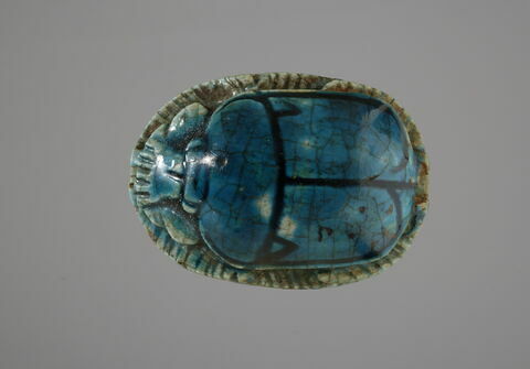scarabée, image 2/4