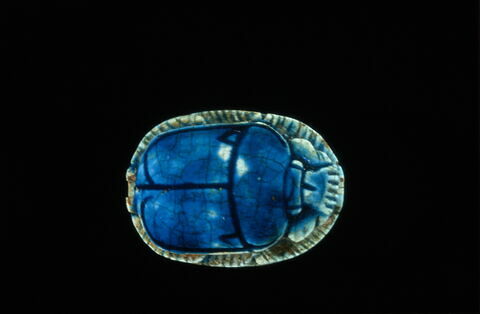 scarabée, image 3/4