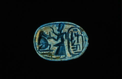scarabée, image 4/4