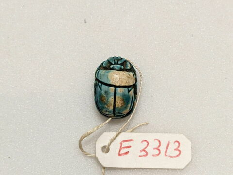 scarabée, image 2/2