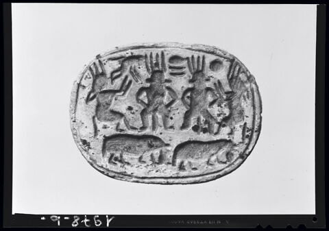 scarabée, image 3/5