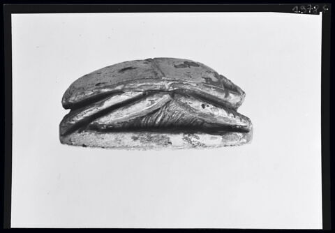 scarabée, image 4/5