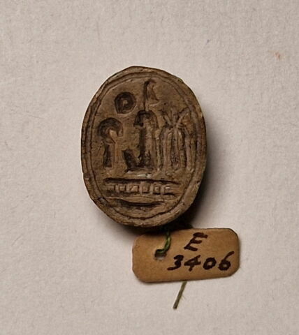 scarabée, image 3/4