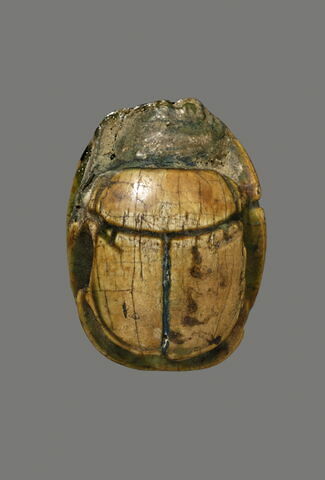 scarabée, image 2/2