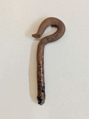 pseudo-momie, image 2/2