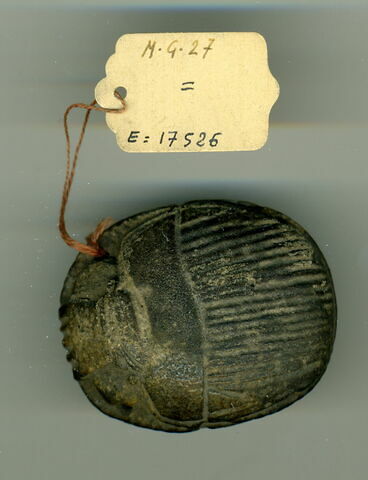 scarabée funéraire, image 1/1