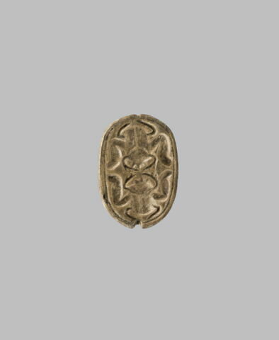 scarabée, image 3/7
