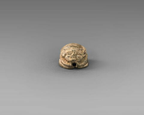 scarabée, image 5/7