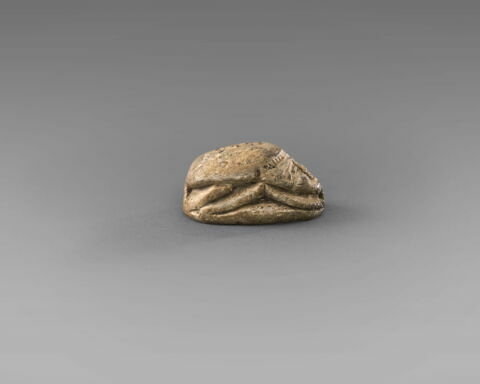 scarabée, image 6/7
