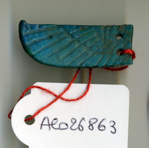 aile gauche de scarabée funéraire, image 1/1