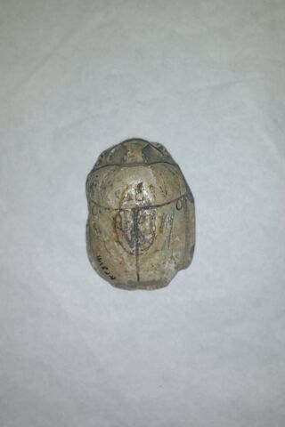 scarabée, image 2/2