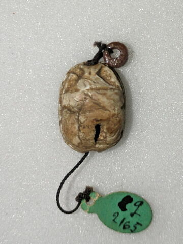 scarabée, image 2/2