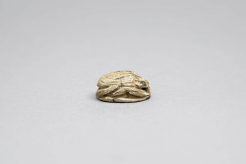 scarabée, image 2/4