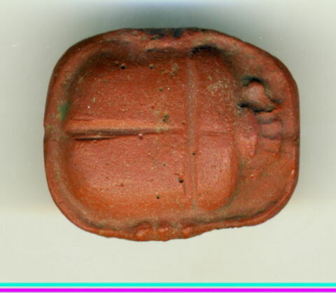scarabée, image 2/3