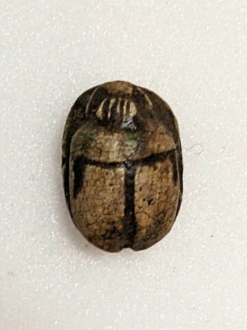 scarabée, image 2/2