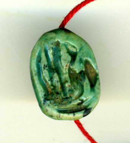 scarabée