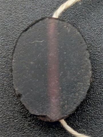 scarabée