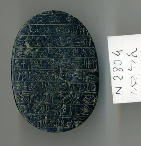 scarabée de cœur, image 3/3