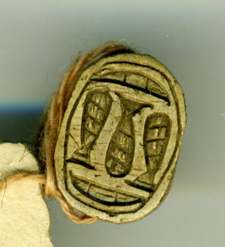 scarabée