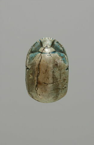 scarabée, image 2/2