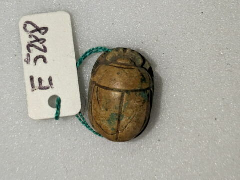 scarabée, image 2/2