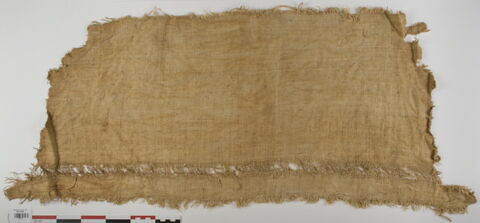 tissu