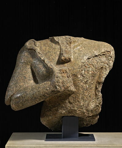 Buste de Ramsès II, image 1/8