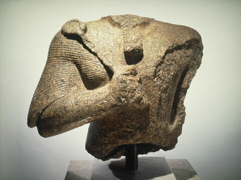 Buste de Ramsès II, image 7/8