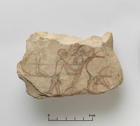 ostracon figuré