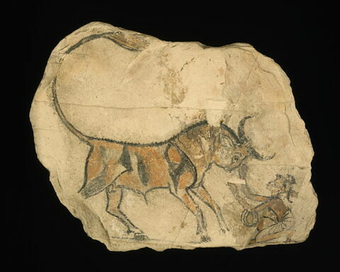 ostracon figuré, image 5/5
