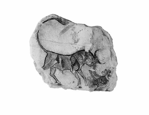 ostracon figuré, image 4/5
