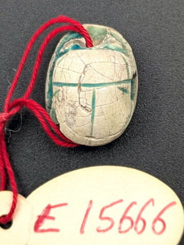 scarabée, image 2/2