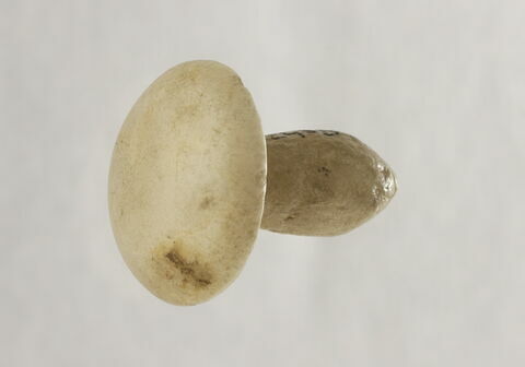 boucle d'oreille en champignon, image 4/4